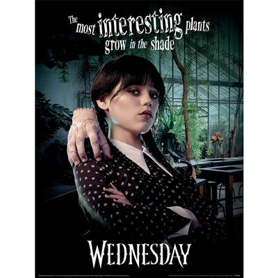 Wednesday (Shade) Maxi Poster – My Rocking Kids