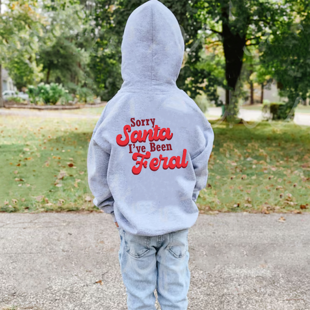 Sorry Santa, I've Been Feral Hoodie